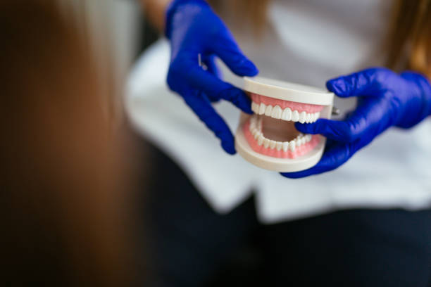  Evadale, TX Holistic Dental Services Pros